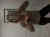 IMG_6397.jpeg