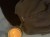 IMG_6387.jpeg