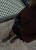 IMG_6876.jpeg