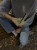 IMG_8703.jpeg
